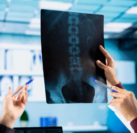 On-Site X-Rays & Diagnostics
